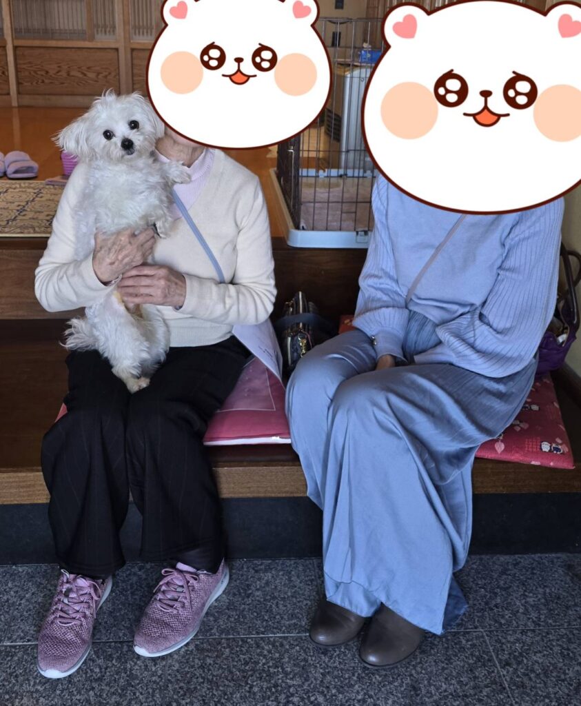 こちらの保護犬は里親様が決まりました