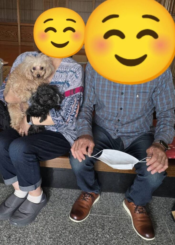 こちらの保護犬は里親様が決まりました