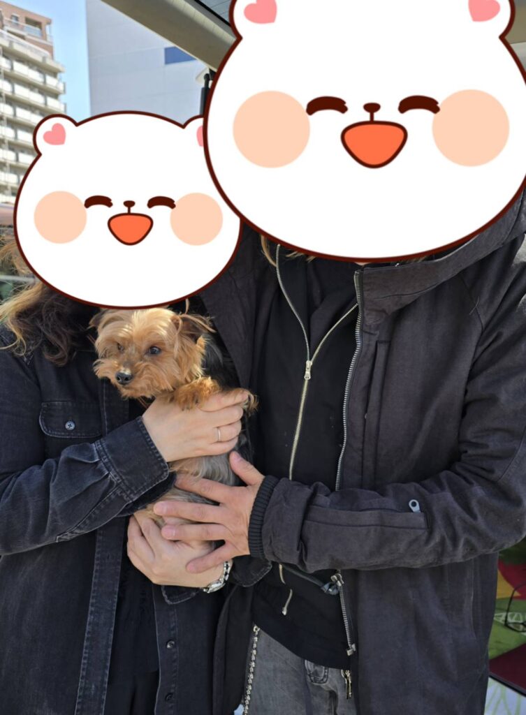 こちらの保護犬は里親様が決まりました