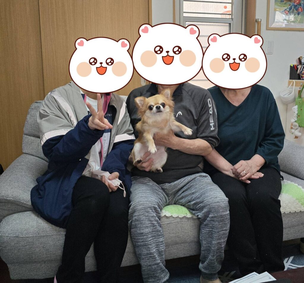 こちらの保護犬は里親様が決まりました