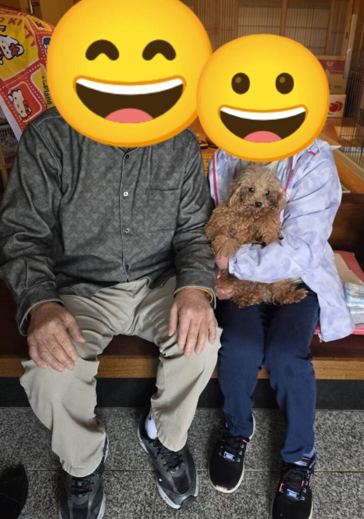 こちらの保護犬は里親様が決まりました