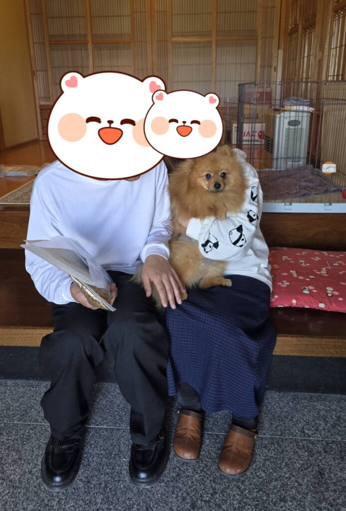 こちらの保護犬は里親様が決まりました