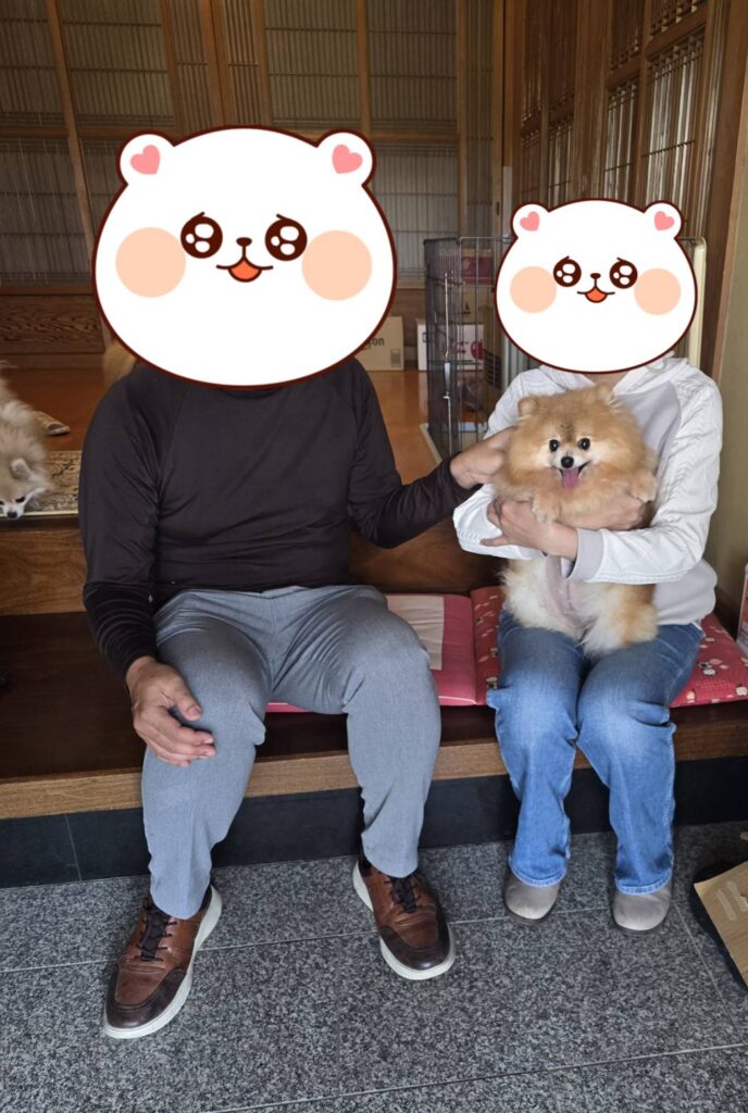こちらの保護犬は里親様が決まりました