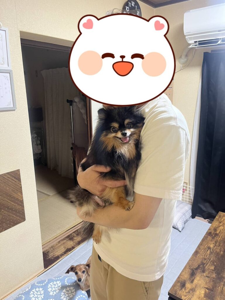 こちらの保護犬は里親様が決まりました