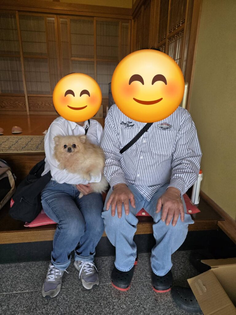 こちらの保護犬は里親様が決まりました