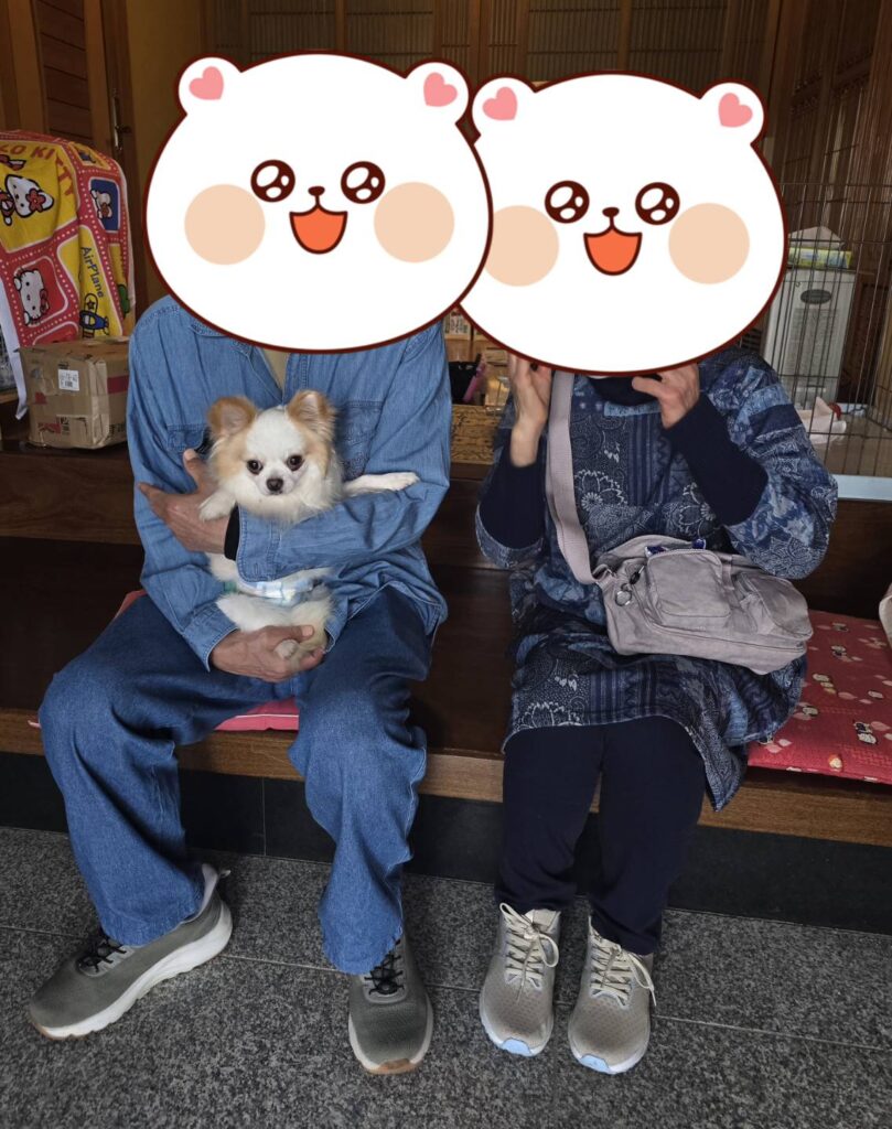 こちらの保護犬は里親様が決まりました