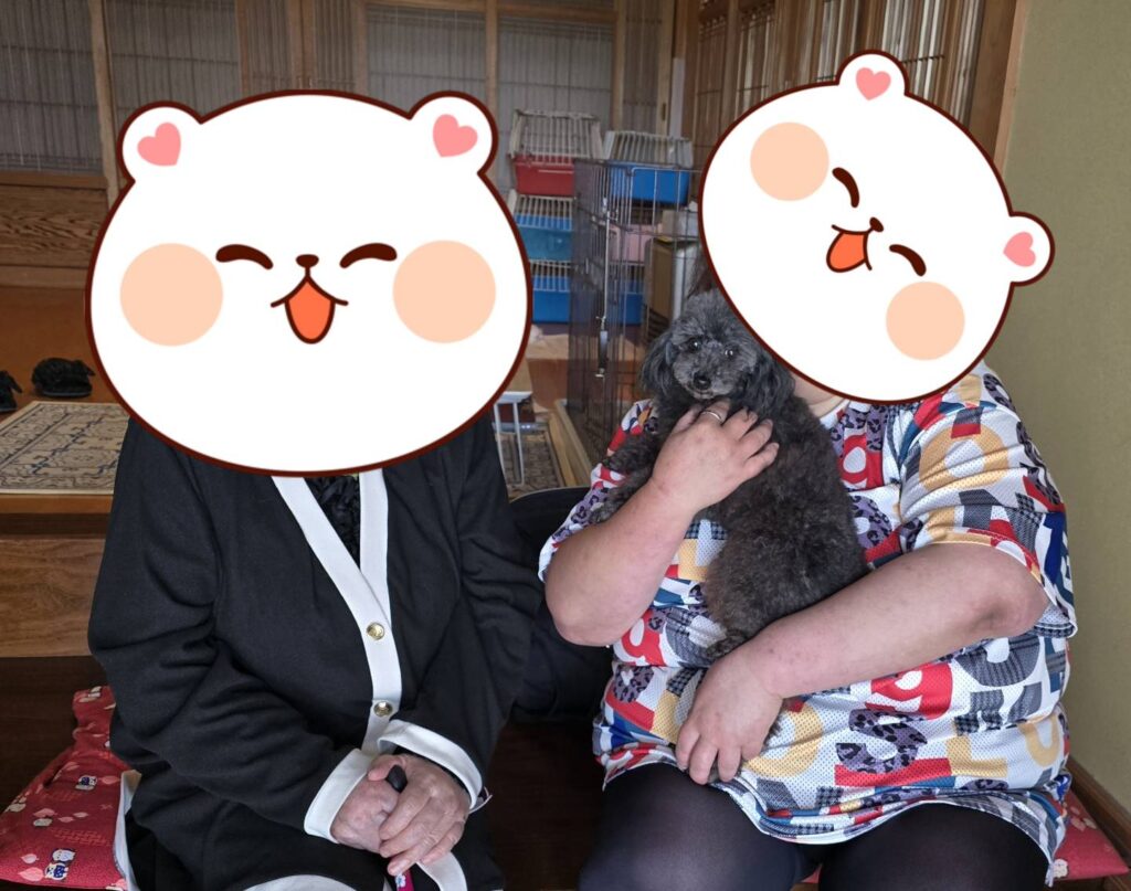 こちらの保護犬は里親様が決まりました