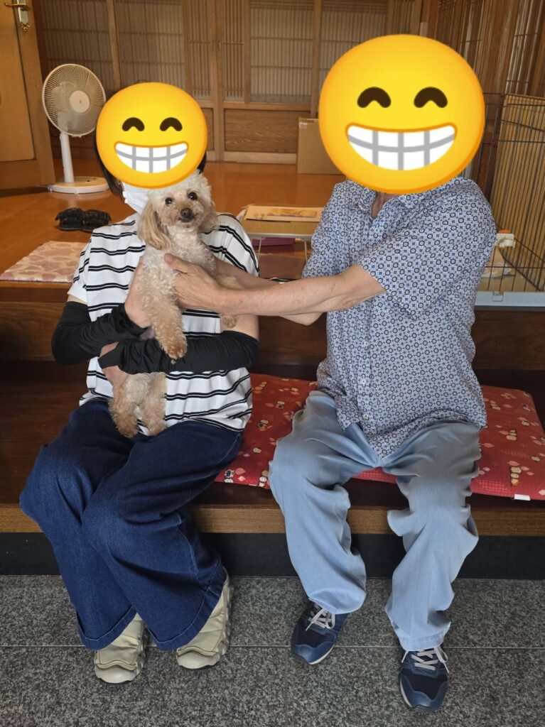 こちらの保護犬は里親様が決まりました