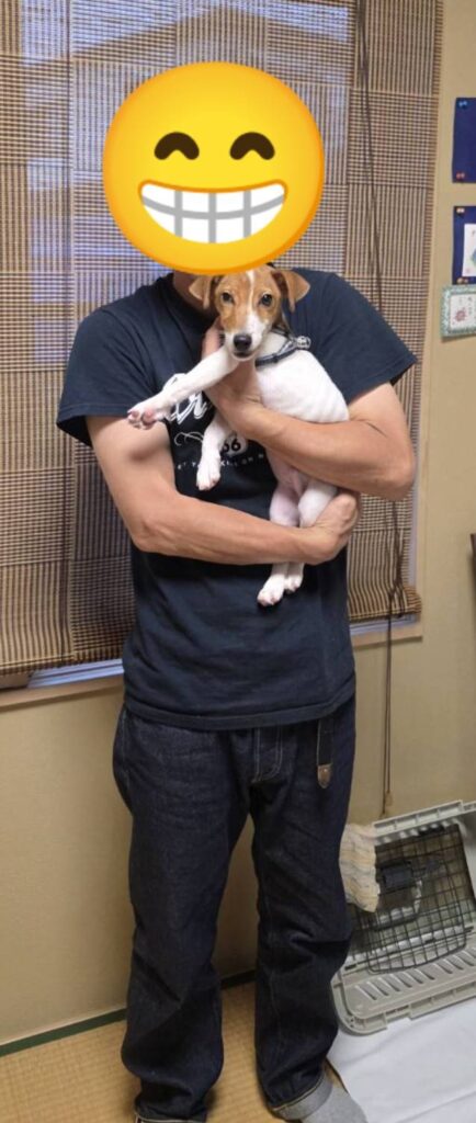こちらの保護犬は里親様が決まりました