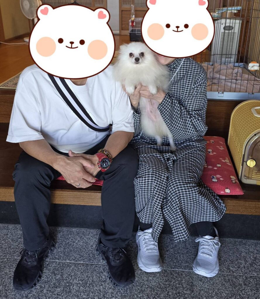 こちらの保護犬は里親様が決まりました