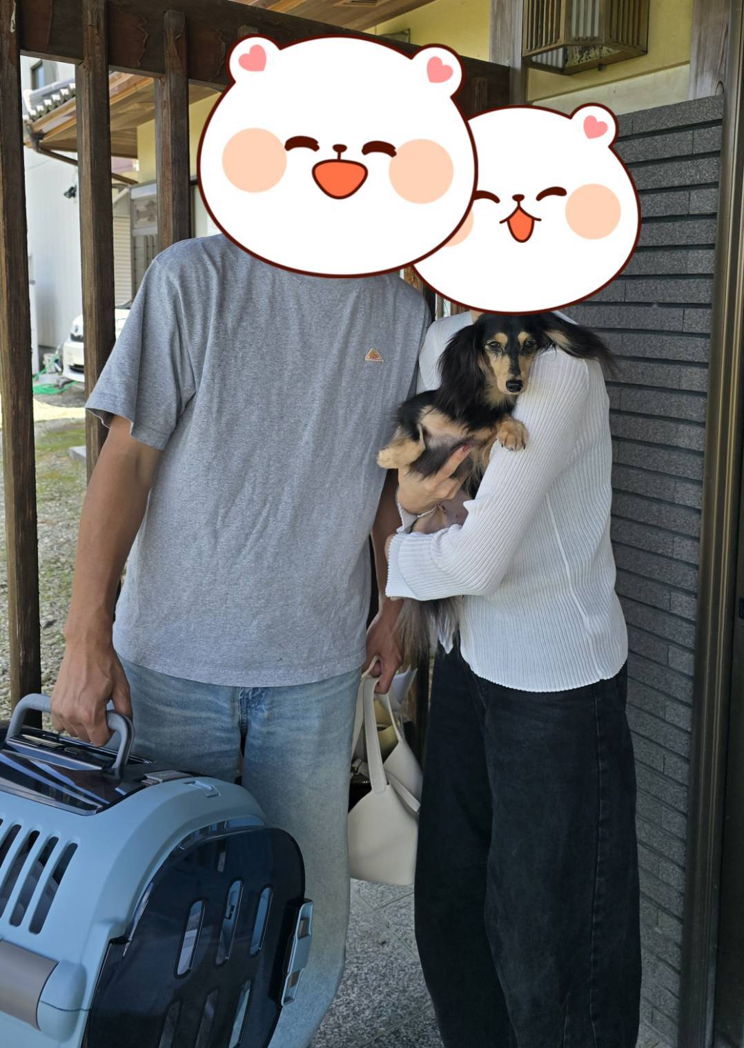こちらの保護犬は里親様が決まりました