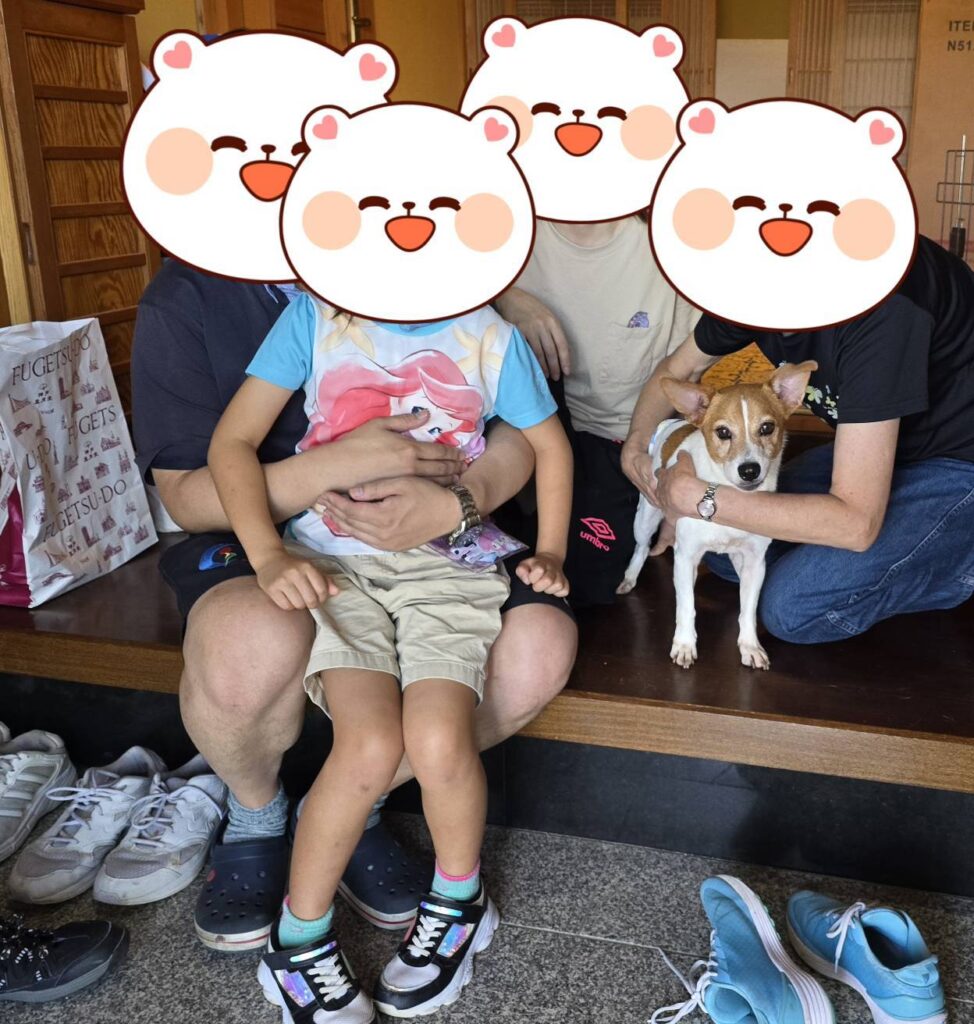 こちらの保護犬は里親様が決まりました