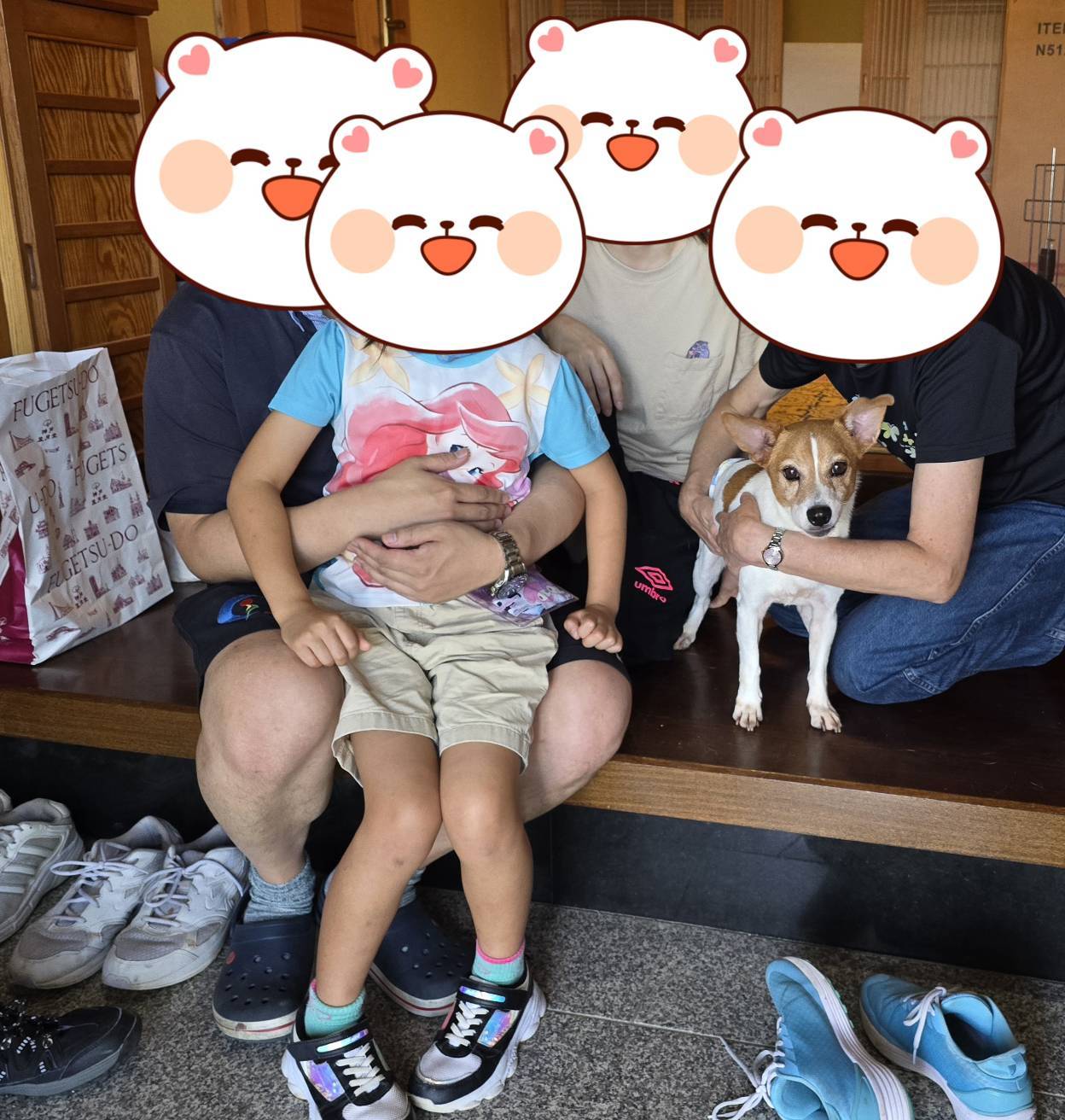 こちらの保護犬は里親様が決まりました
