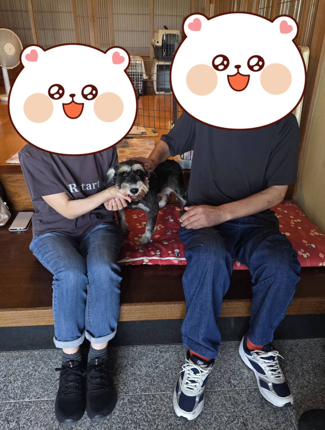 こちらの保護犬は里親様が決まりました