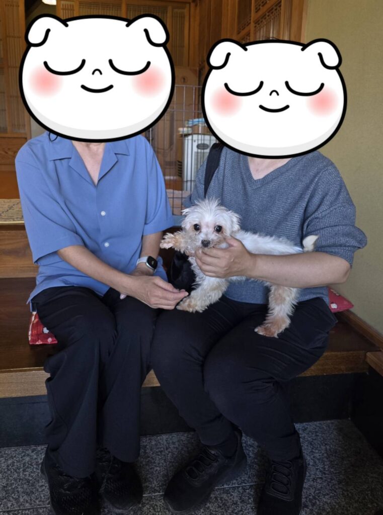 こちらの保護犬は里親様が決まりました