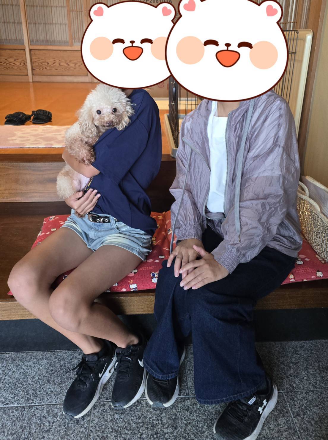 こちらの保護犬は里親様が決まりました