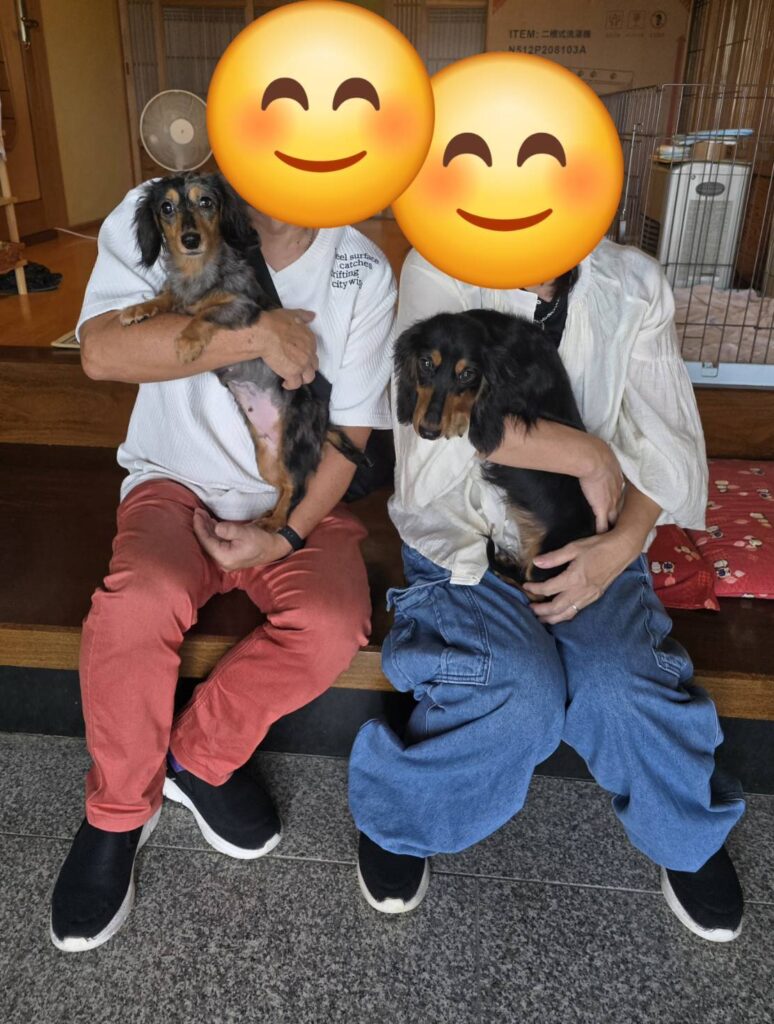 こちらの保護犬は里親様が決まりました