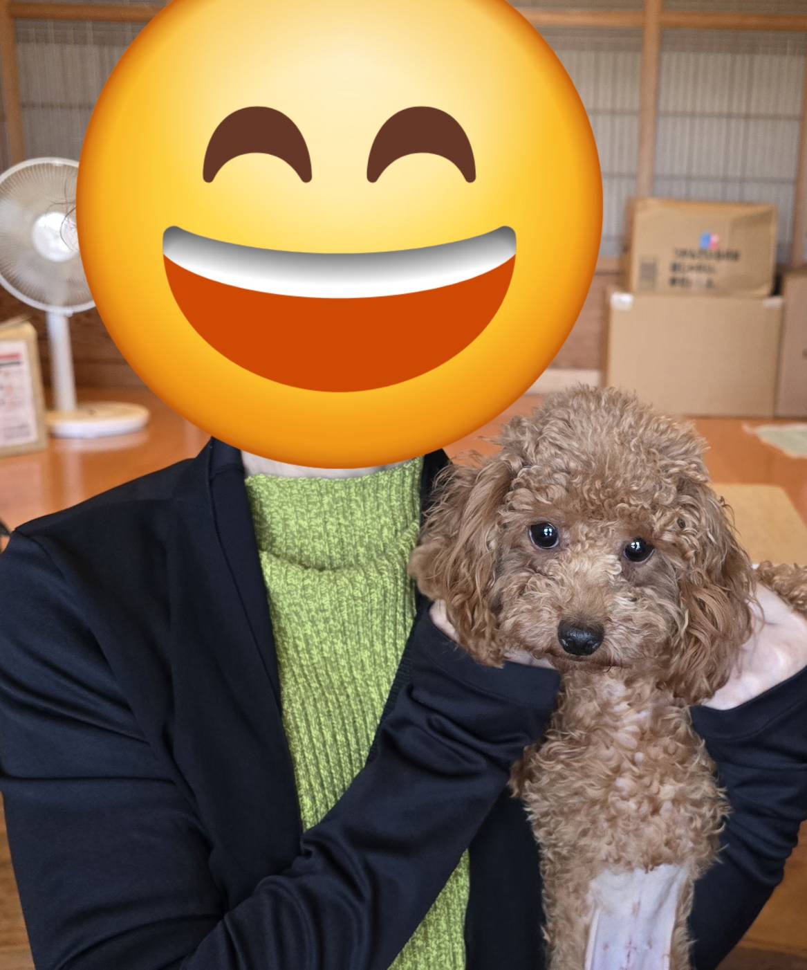 こちらの保護犬は里親様が決まりました