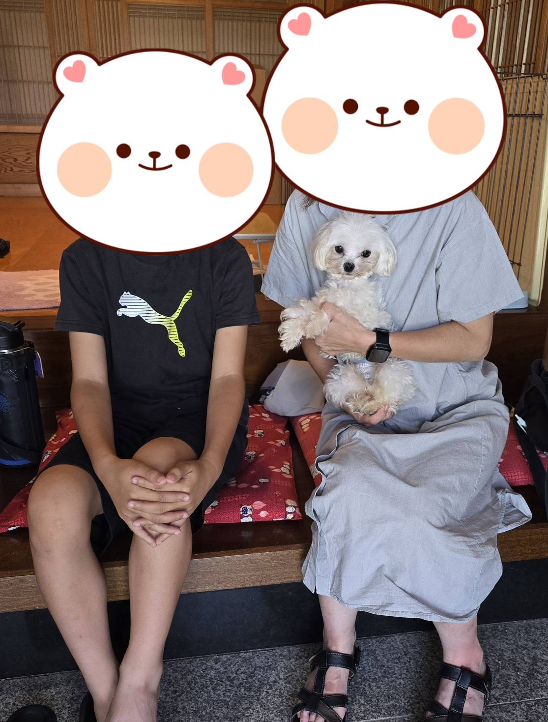 こちらの保護犬は里親様が決まりました