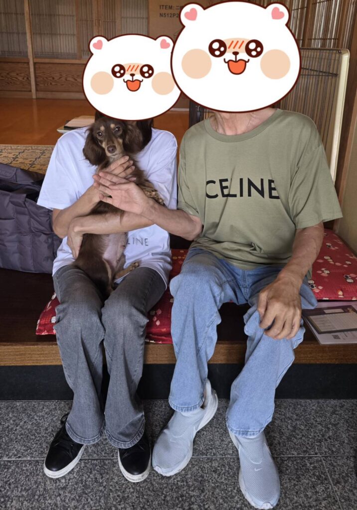 こちらの保護犬は里親様が決まりました