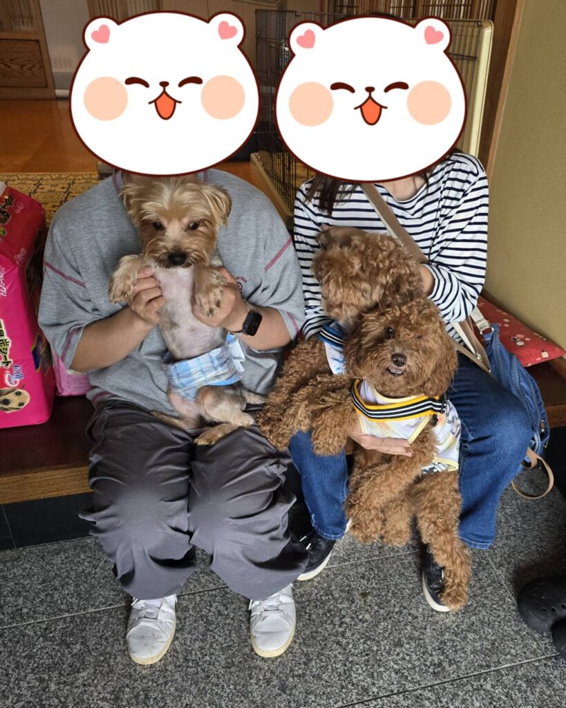 こちらの保護犬は里親様が決まりました