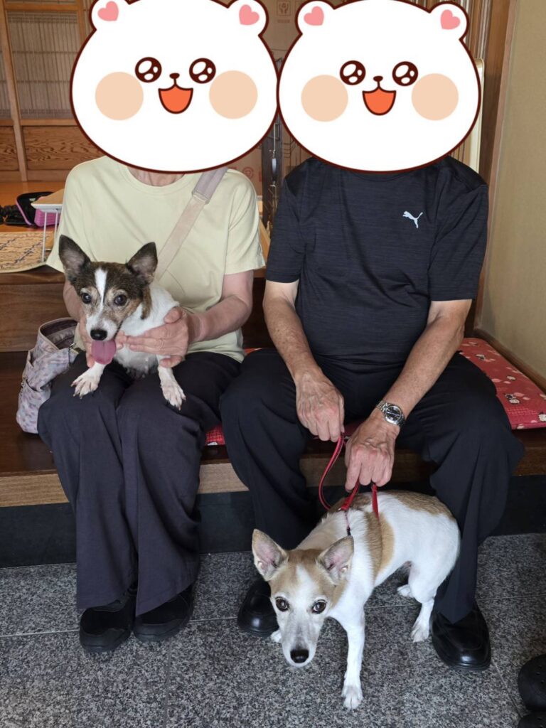 こちらの保護犬は里親様が決まりました
