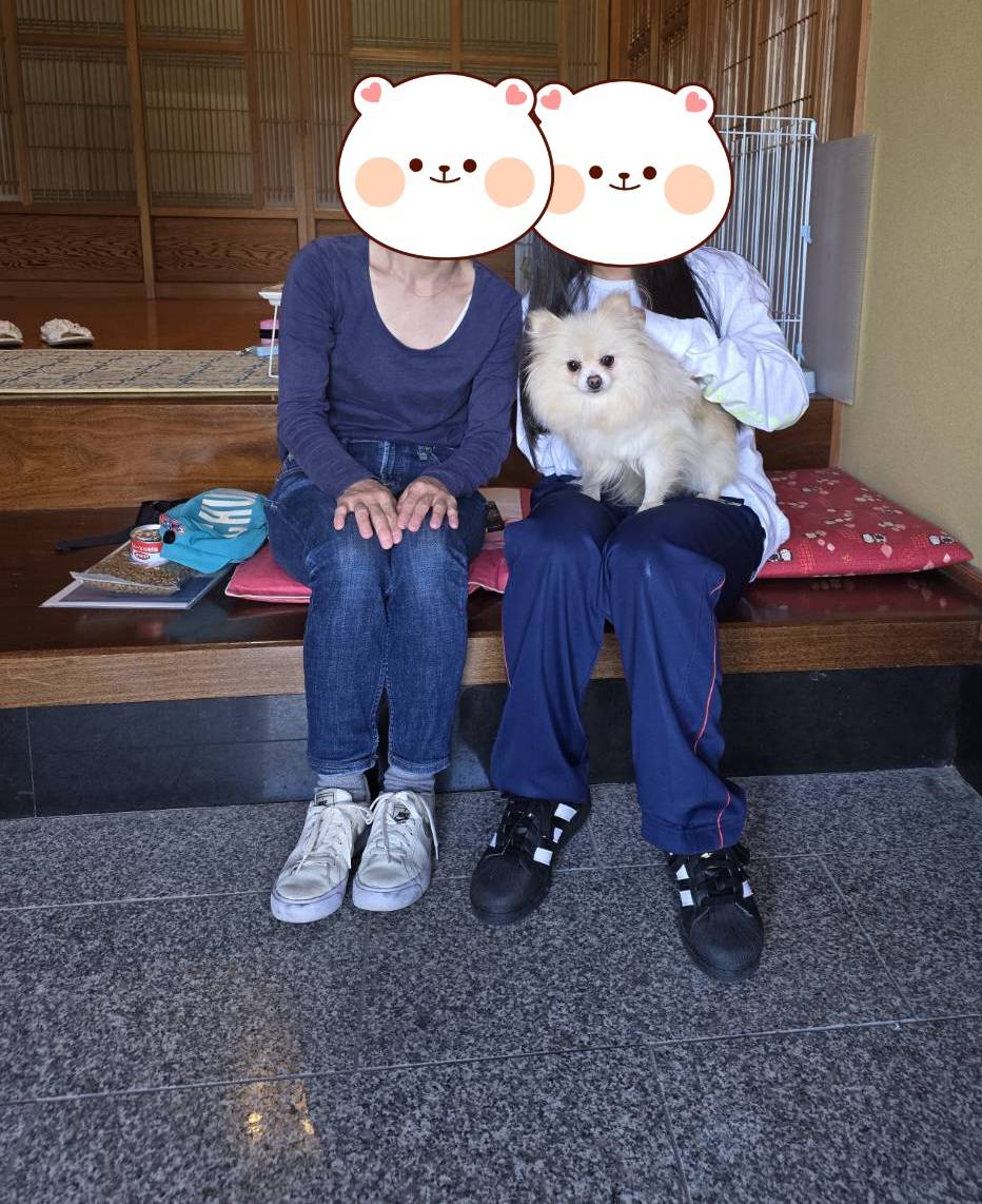 こちらの保護犬は里親様が決まりました