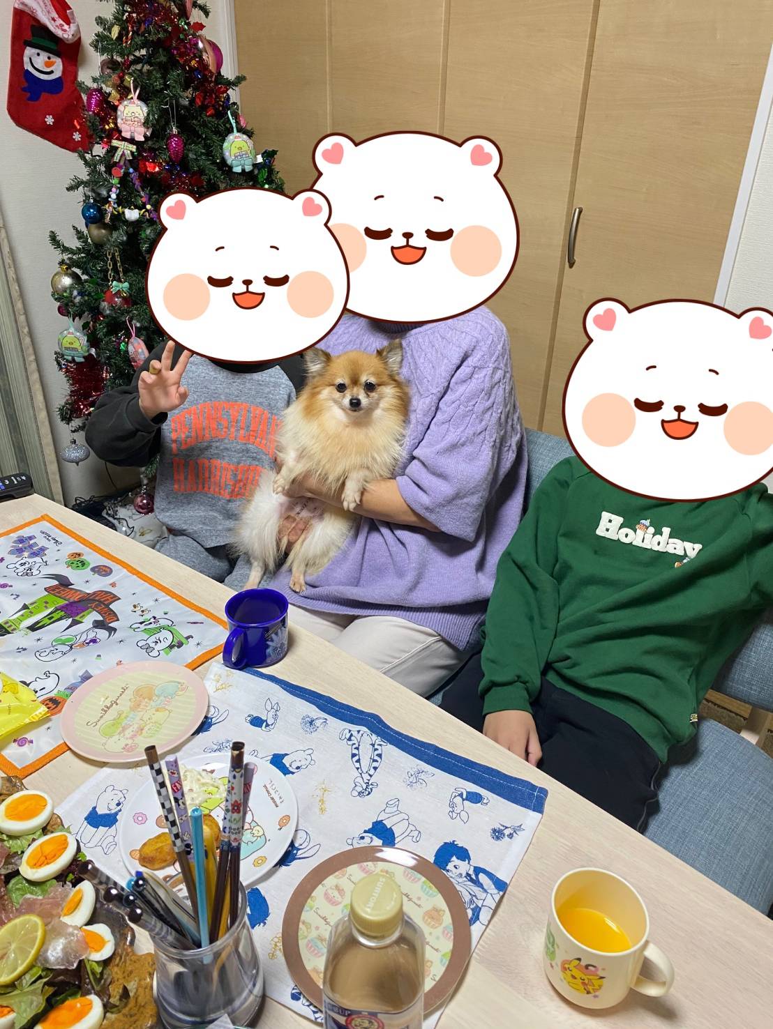 こちらの保護犬は里親様が決まりました