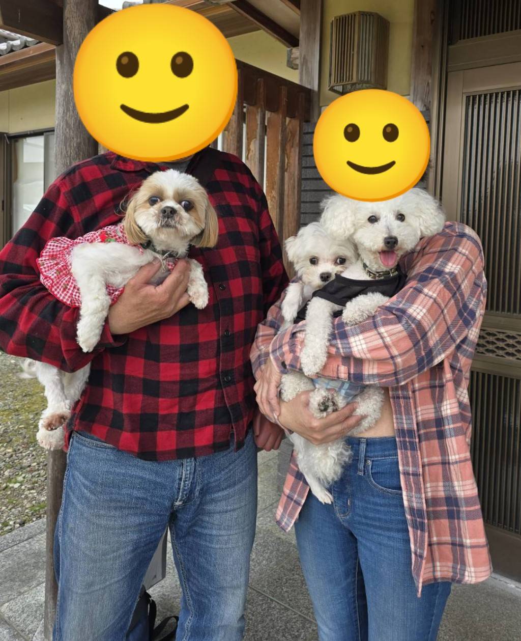 こちらの保護犬は里親様が決まりました