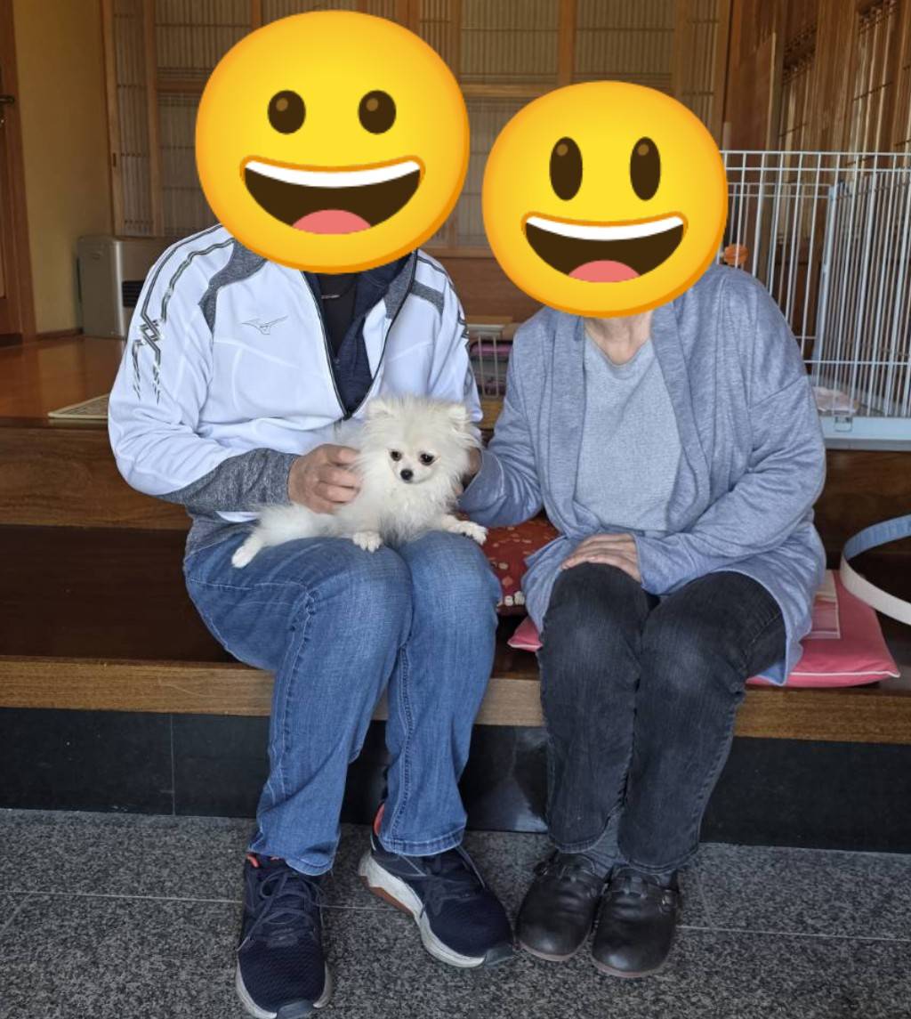 こちらの保護犬は里親様が決まりました