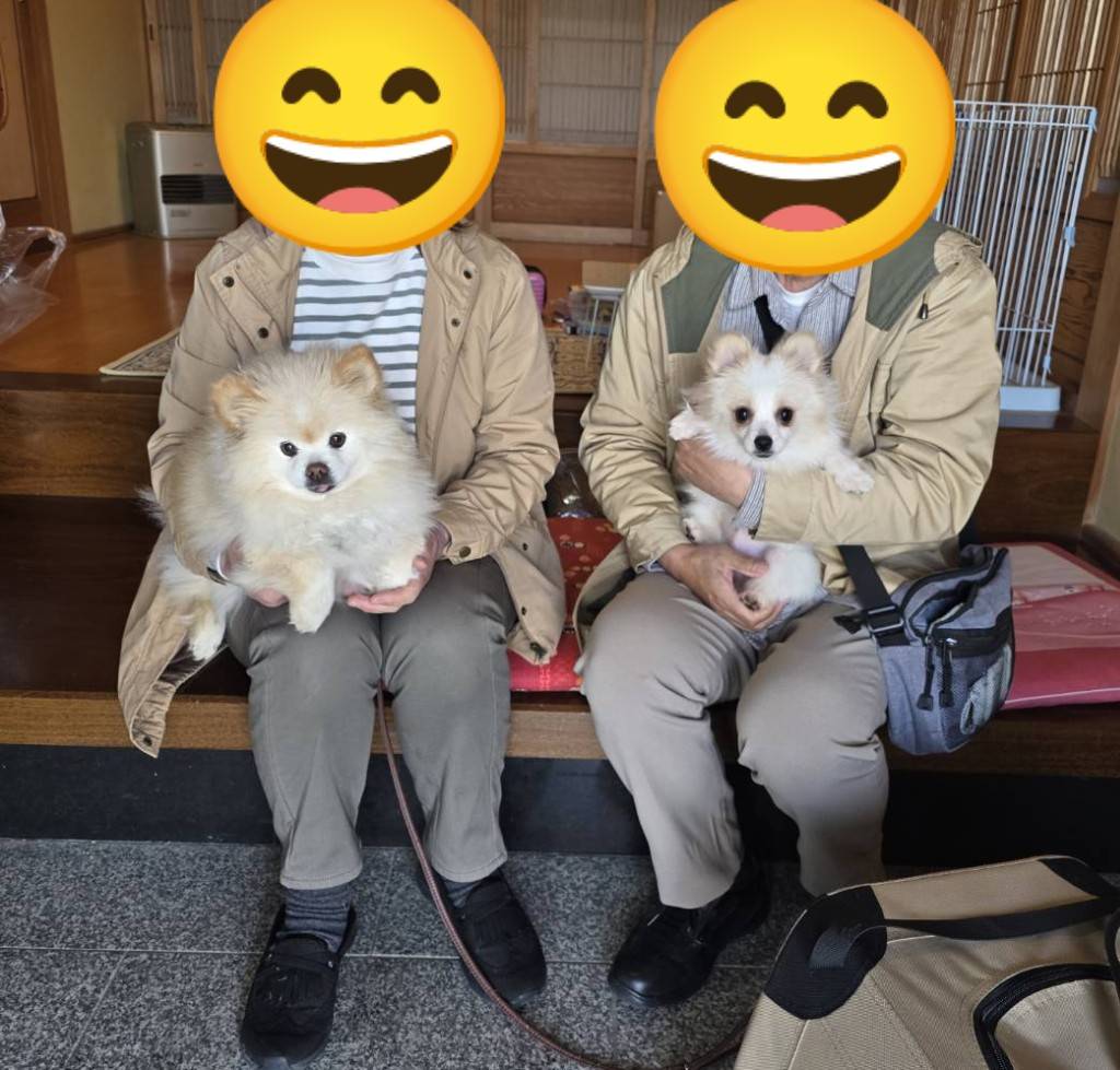 こちらの保護犬は里親様が決まりました
