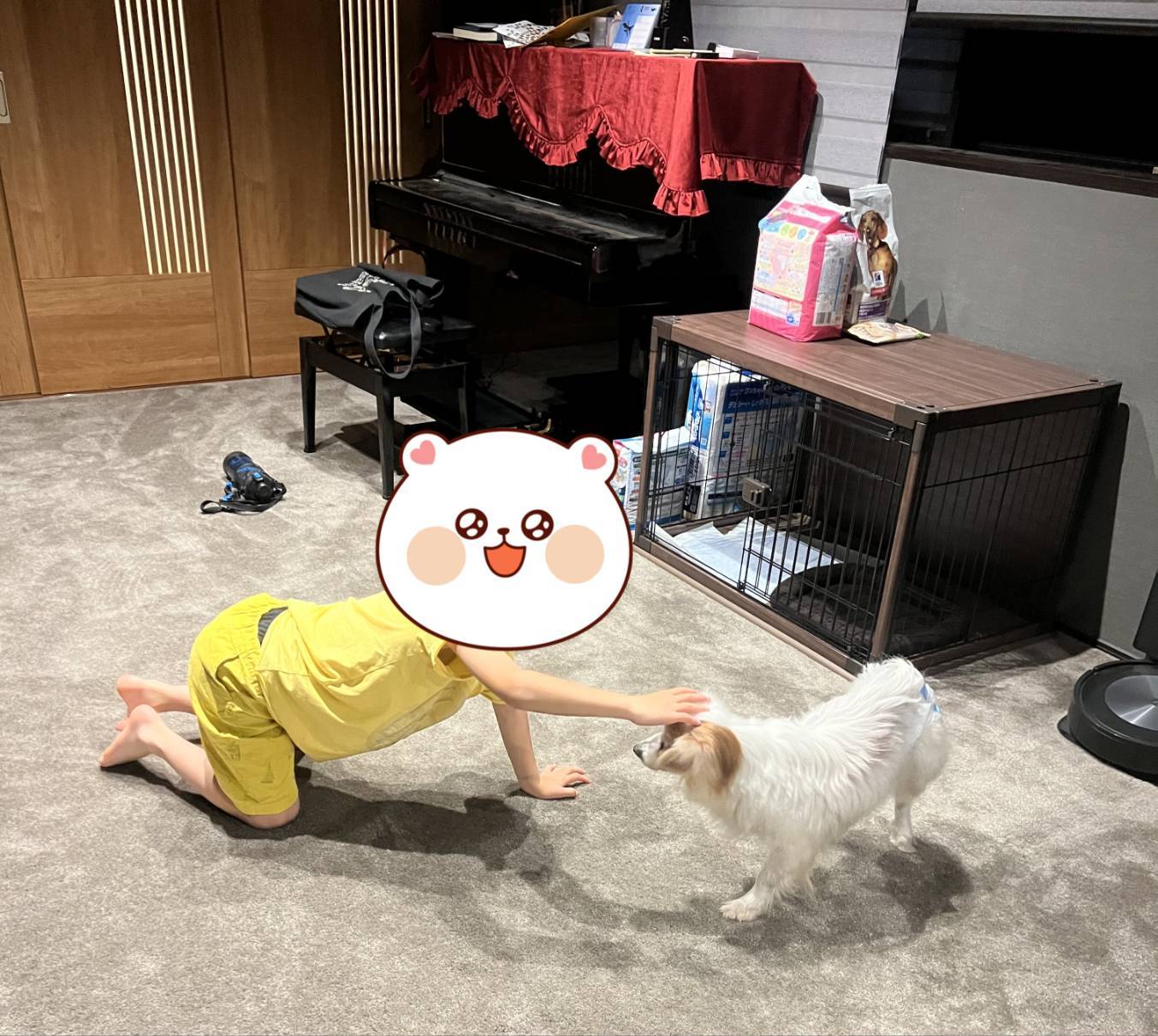 こちらの保護犬は里親様が決まりました