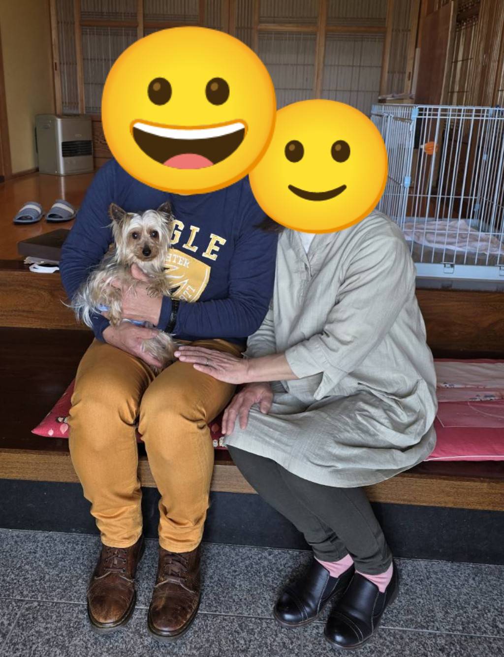 こちらの保護犬は里親様が決まりました