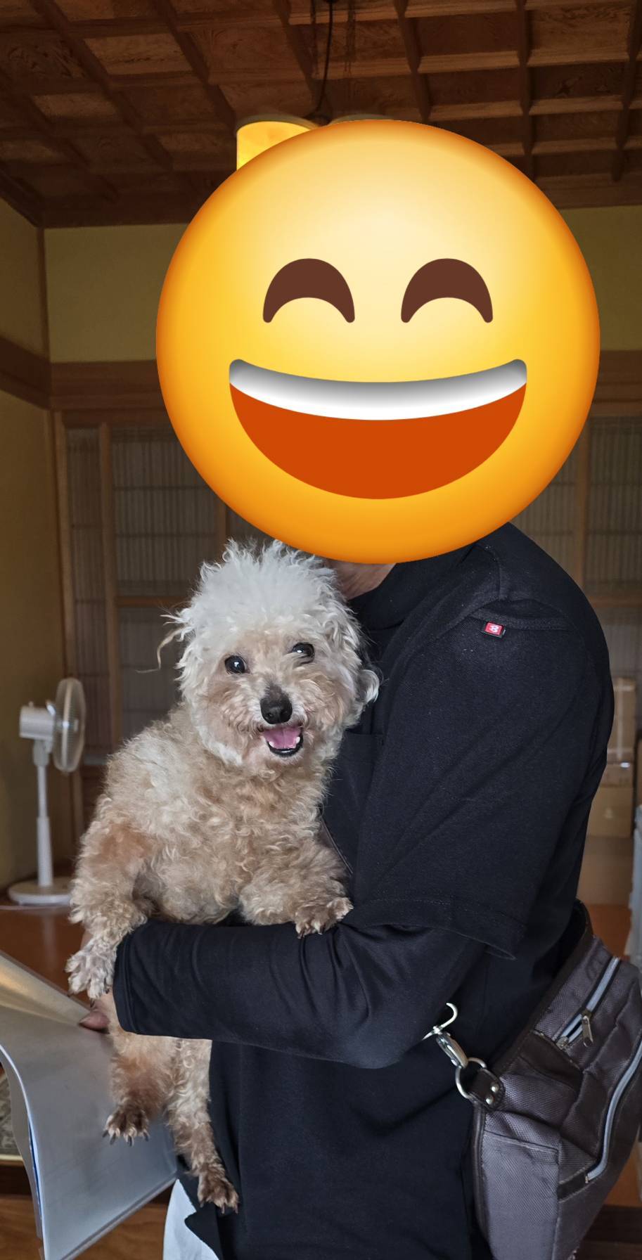 こちらの保護犬は里親様が決まりました