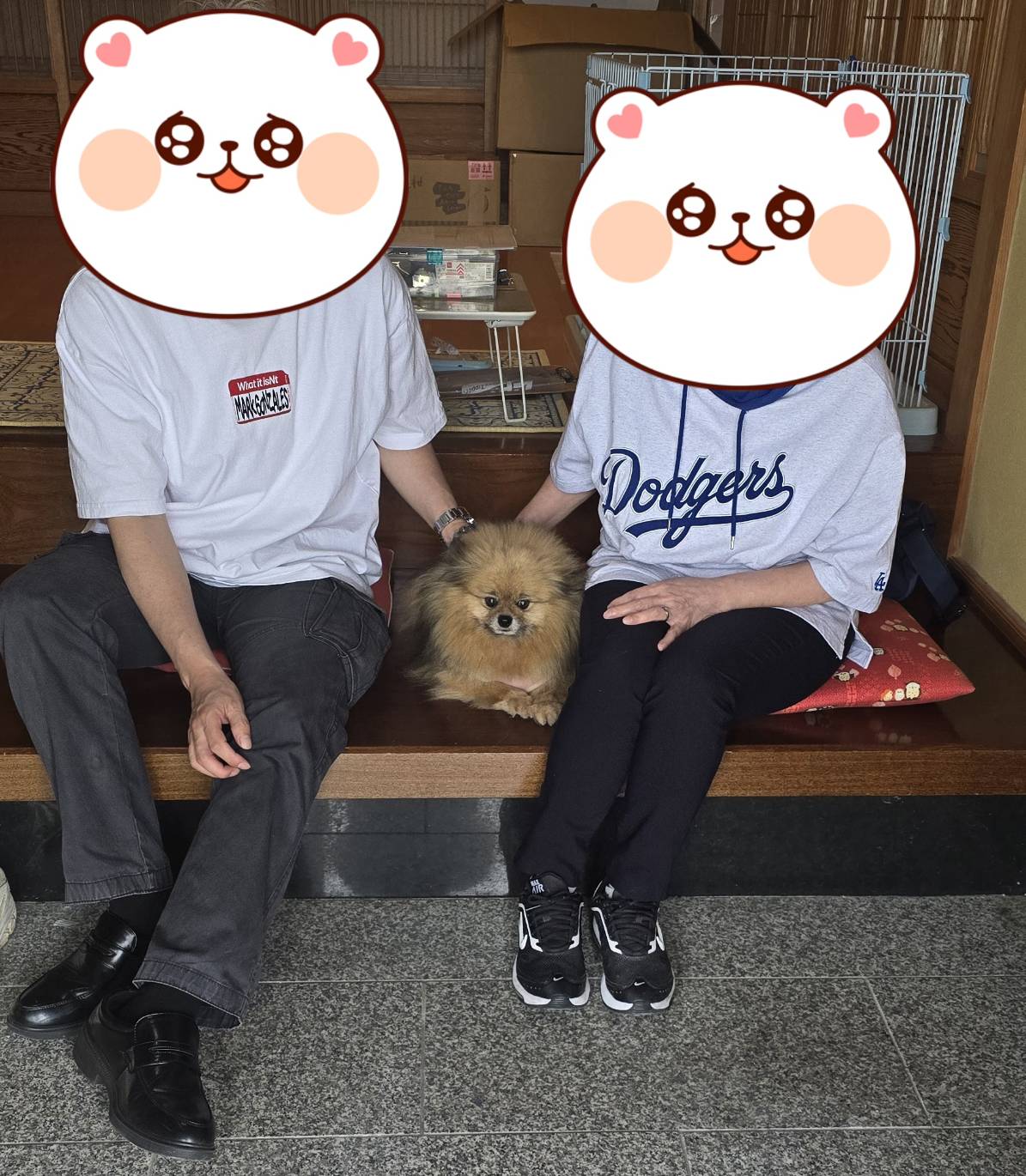 こちらの保護犬は里親様が決まりました