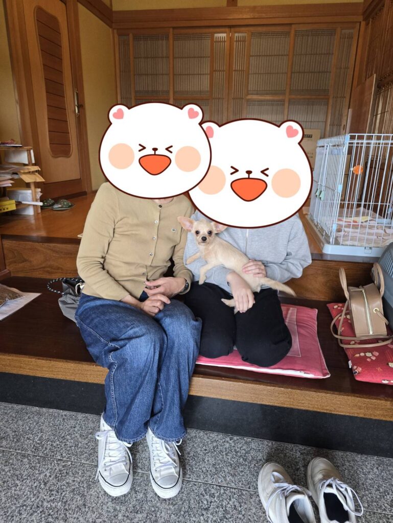 こちらの保護犬は里親様が決まりました