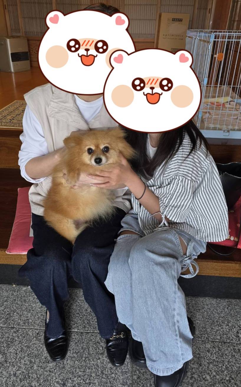 こちらの保護犬は里親様が決まりました