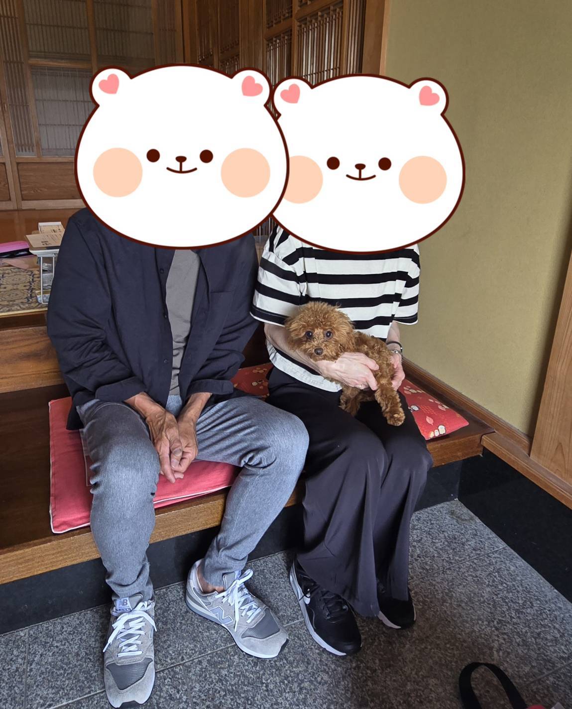 こちらの保護犬は里親様が決まりました