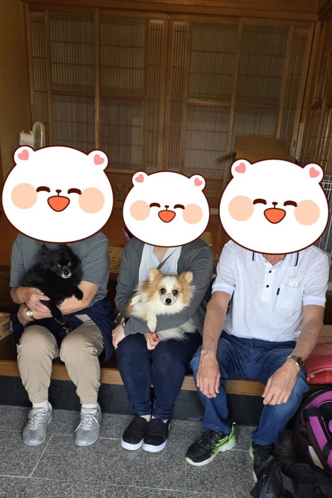 こちらの保護犬は里親様が決まりました