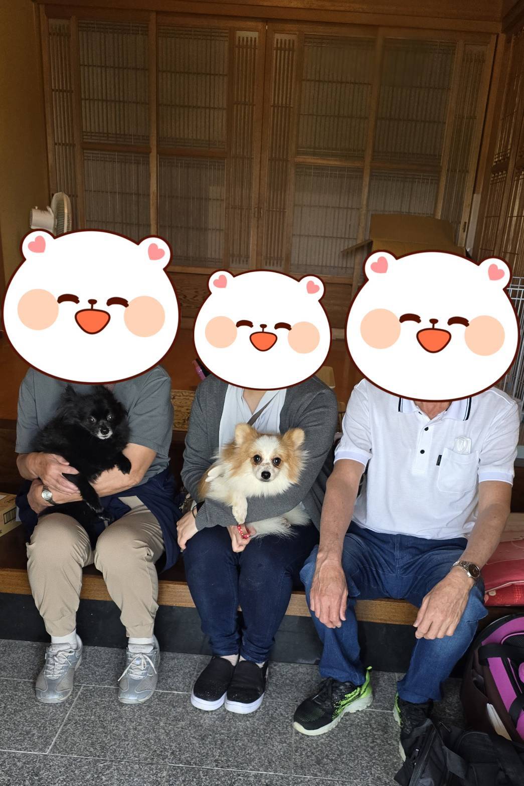 こちらの保護犬は里親様が決まりました