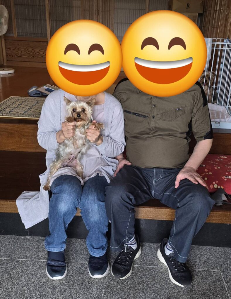 こちらの保護犬は里親様が決まりました