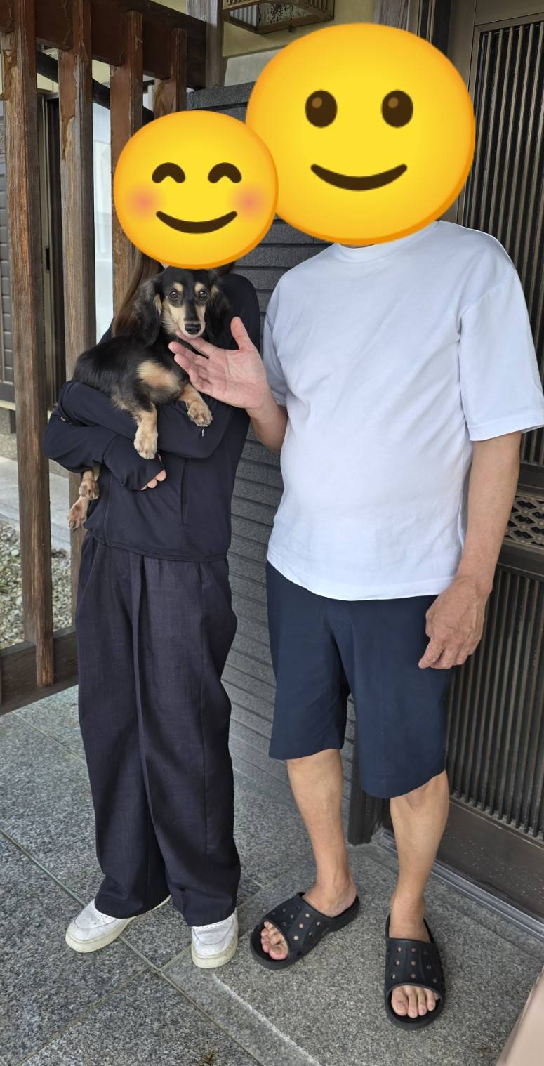 こちらの保護犬は里親様が決まりました