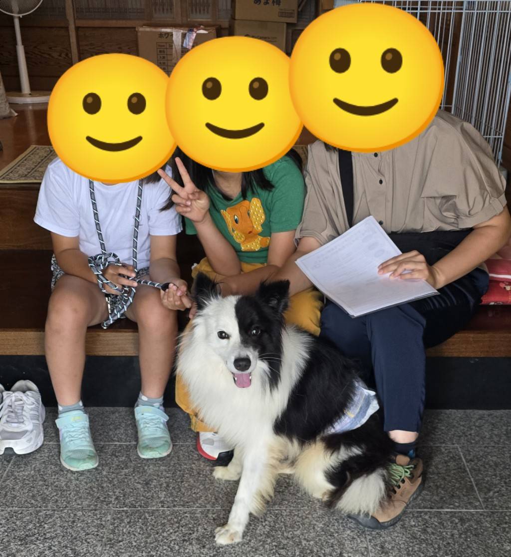 こちらの保護犬は里親様が決まりました