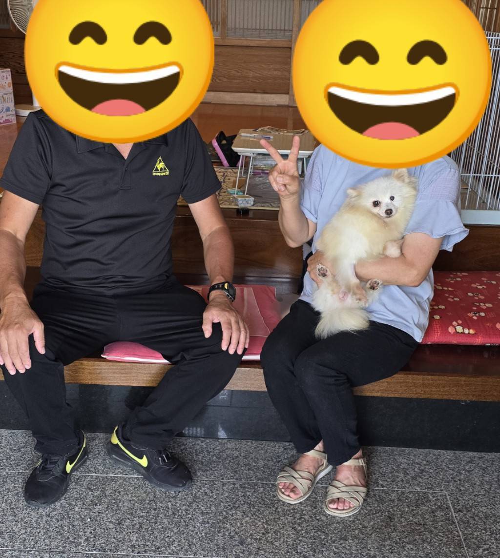 こちらの保護犬は里親様が決まりました