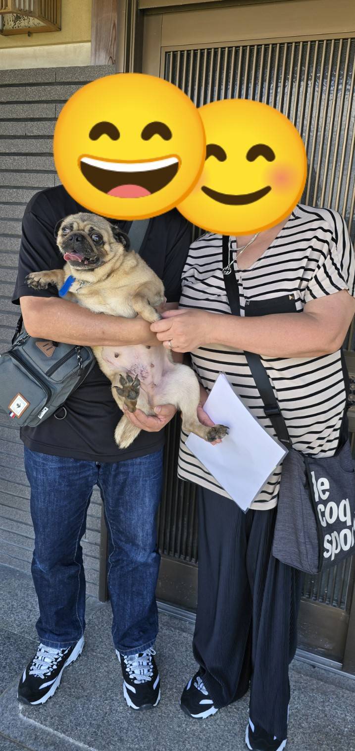こちらの保護犬は里親様が決まりました