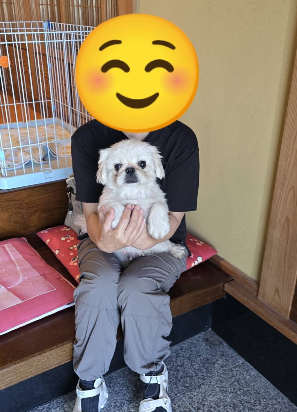 こちらの保護犬は里親様が決まりました