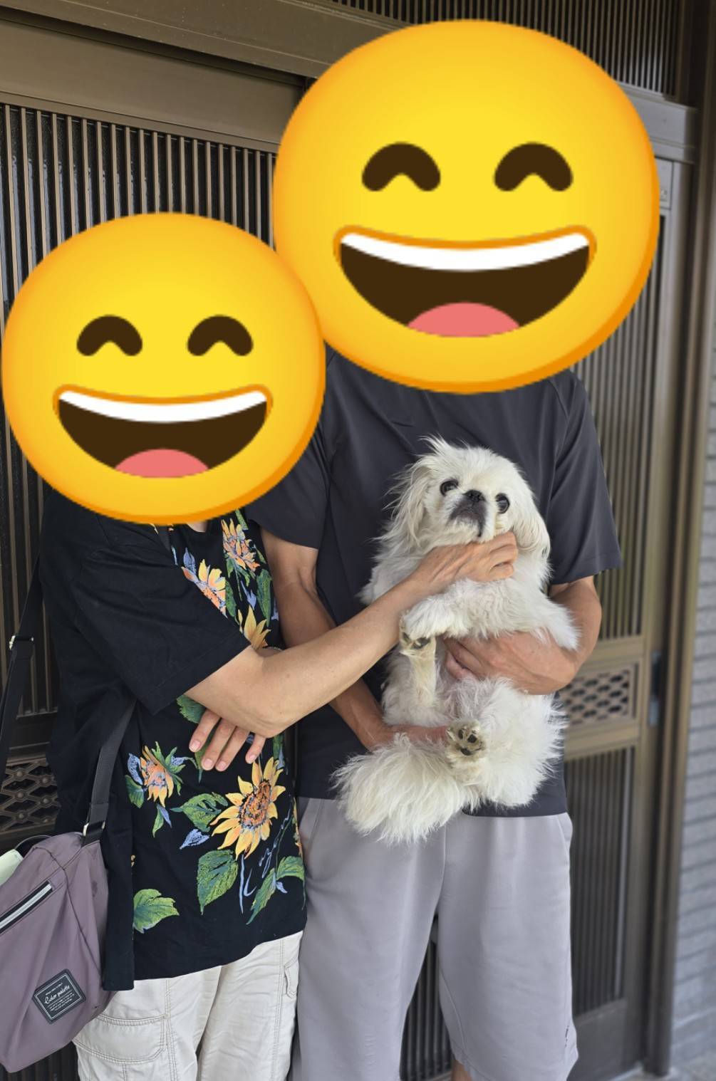こちらの保護犬は里親様が決まりました