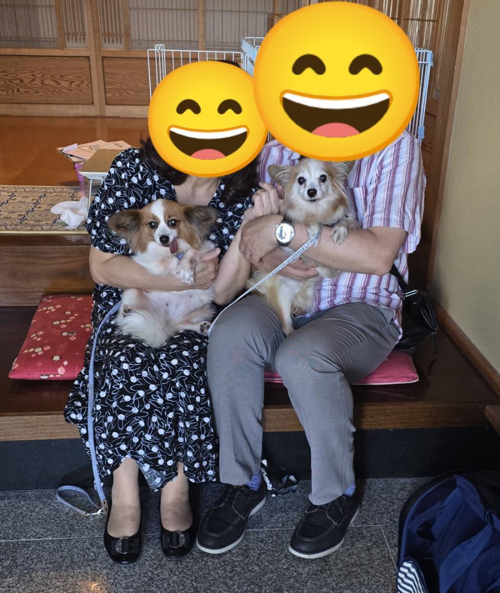 こちらの保護犬は里親様が決まりました