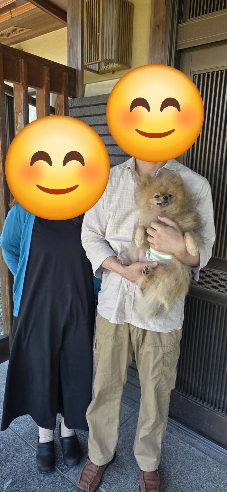 こちらの保護犬は里親様が決まりました