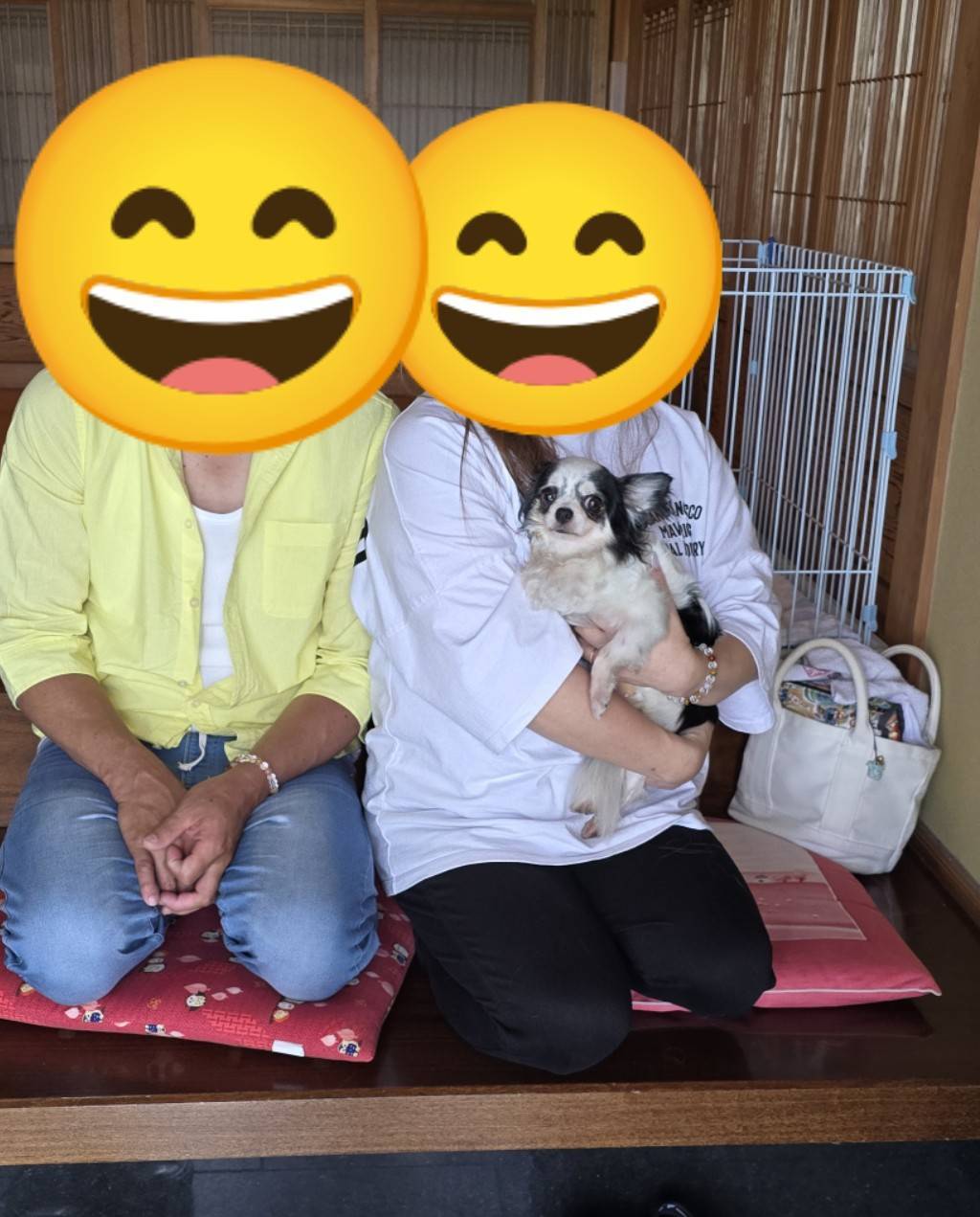 こちらの保護犬は里親様が決まりました